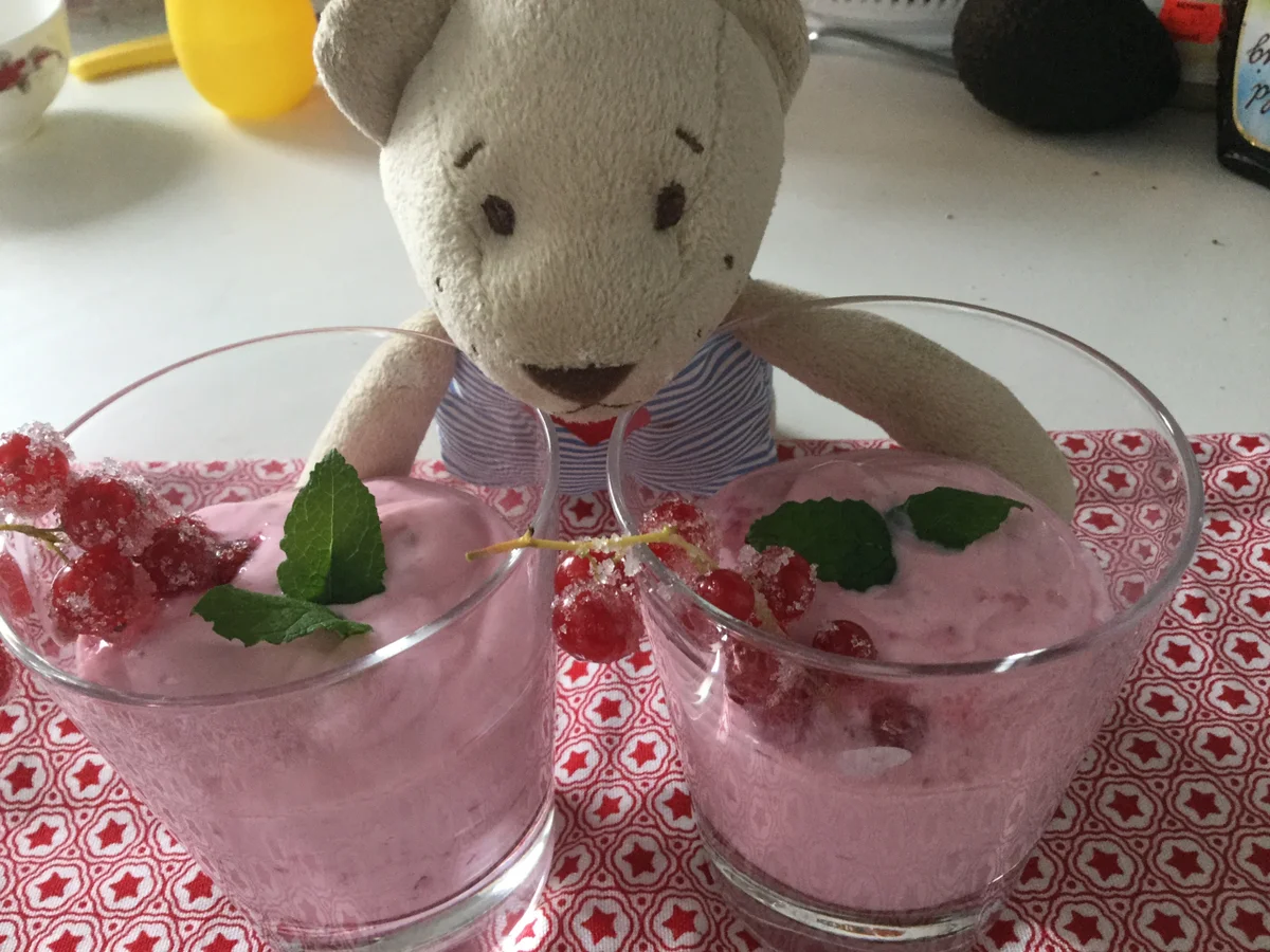 Blitz Johannisbeer-Joghurt - Rezept - Bild Nr. 3238