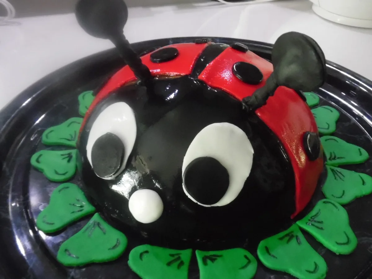 Marienkäfer-Torte - Rezept - Bild Nr. 3237