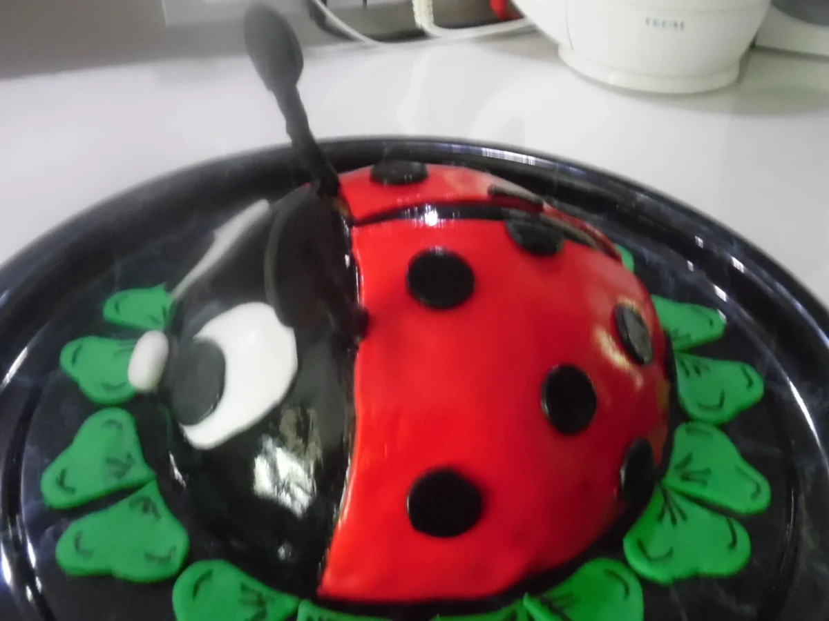 Marienkäfer-Torte - Rezept - Bild Nr. 3238