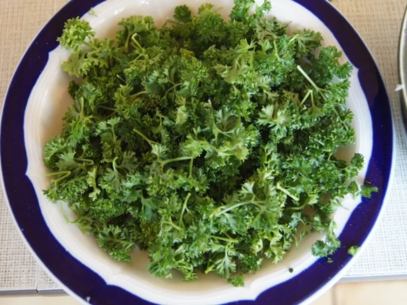 Rindfleisch-Gemüse-Suppe - Rezept - Bild Nr. 3240