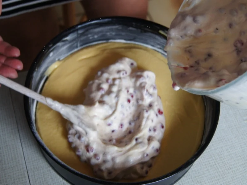 Rezept: Johannisbeeren Kuchen mit Streusel Bild Nr. 8 Johannisbeeren Kuchen mit Streusel - Rezept - Bild Nr. 8