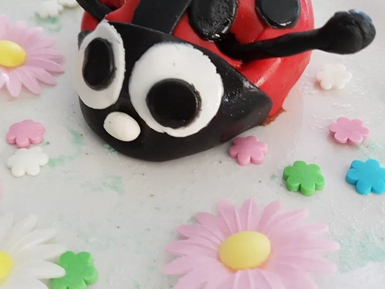 Rezept: Schneller "Mini Marienkäfer" zum Dessert Bild Nr. 3251 Schneller "Mini Marienkäfer" zum Dessert - Rezept - Bild Nr. 3251