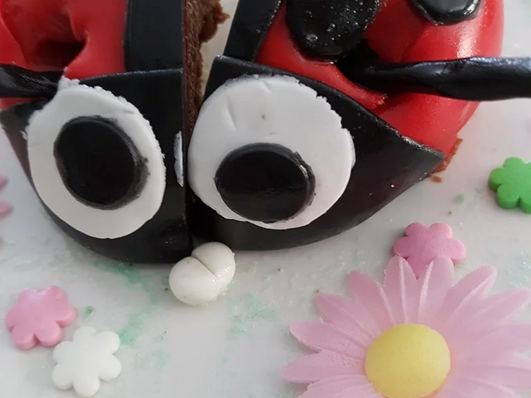 Rezept: Schneller "Mini Marienkäfer" zum Dessert Bild Nr. 3271 Schneller "Mini Marienkäfer" zum Dessert - Rezept - Bild Nr. 3271