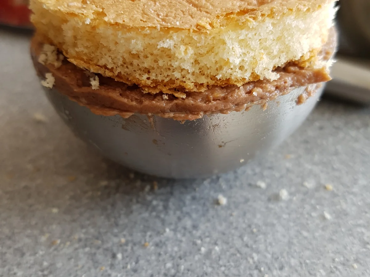 Rezept: Apfelbeerenmousse (Aroniabeeren) Bild Nr. 3305 Apfelbeerenmousse (Aroniabeeren) - Rezept - Bild Nr. 3305