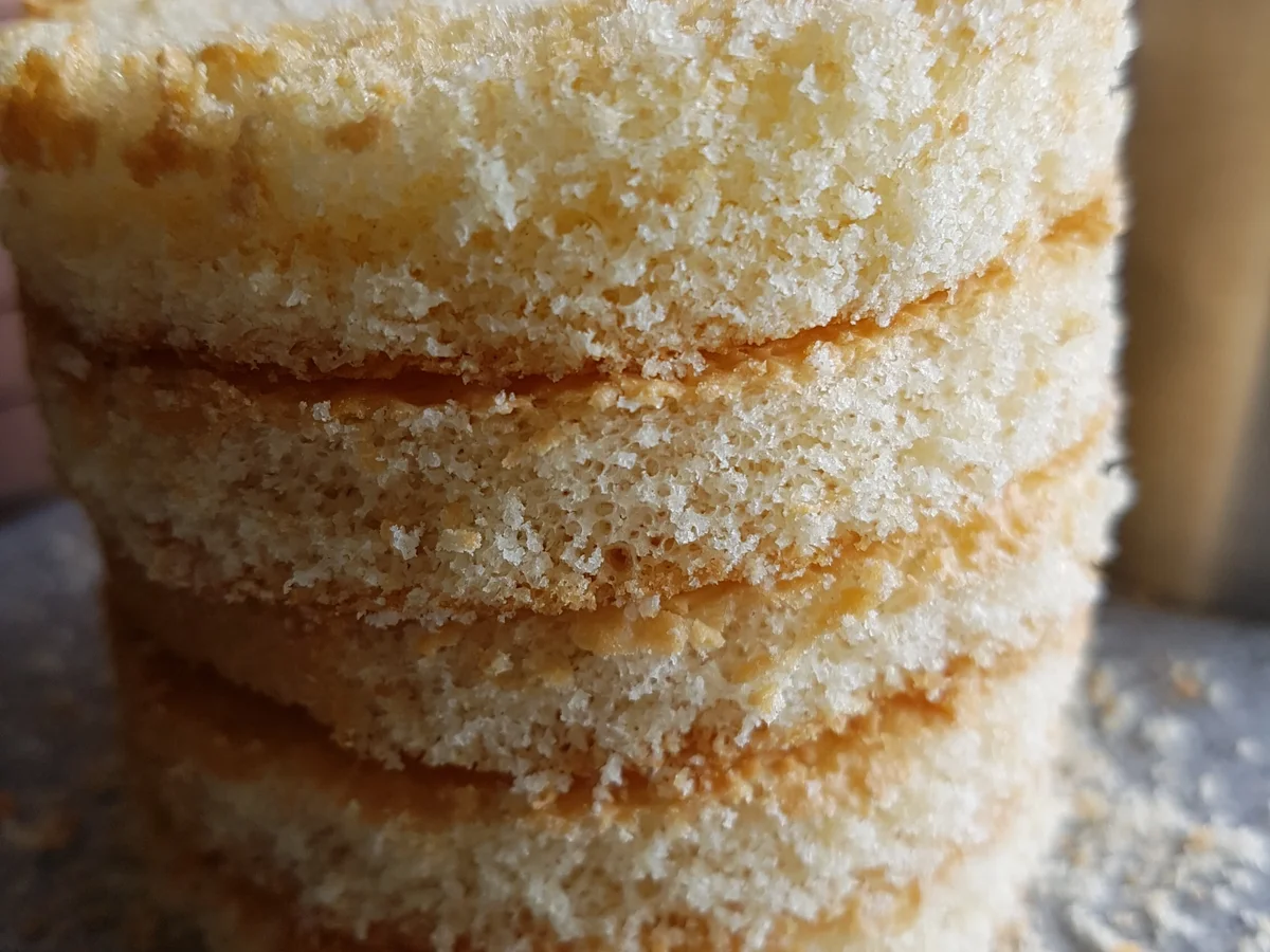 Rezept: Apfelbeerenmousse (Aroniabeeren) Bild Nr. 3306 Apfelbeerenmousse (Aroniabeeren) - Rezept - Bild Nr. 3306