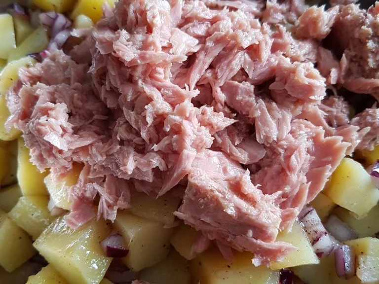 Salat mit Angler Thunfisch - Rezept - Bild Nr. 3310