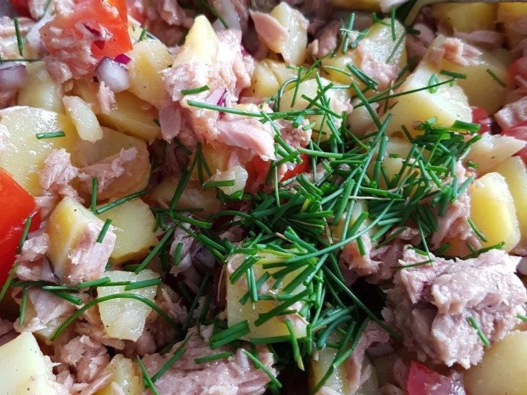 Salat mit Angler Thunfisch - Rezept - Bild Nr. 3313