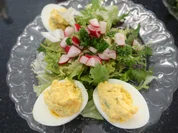 Estragon-Eier auf Schnittsalat mit Radieschen-Vinaigrette - Rezept - Bild Nr. 3301