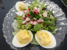 Estragon-Eier auf Schnittsalat mit Radieschen-Vinaigrette - Rezept - Bild Nr. 3301