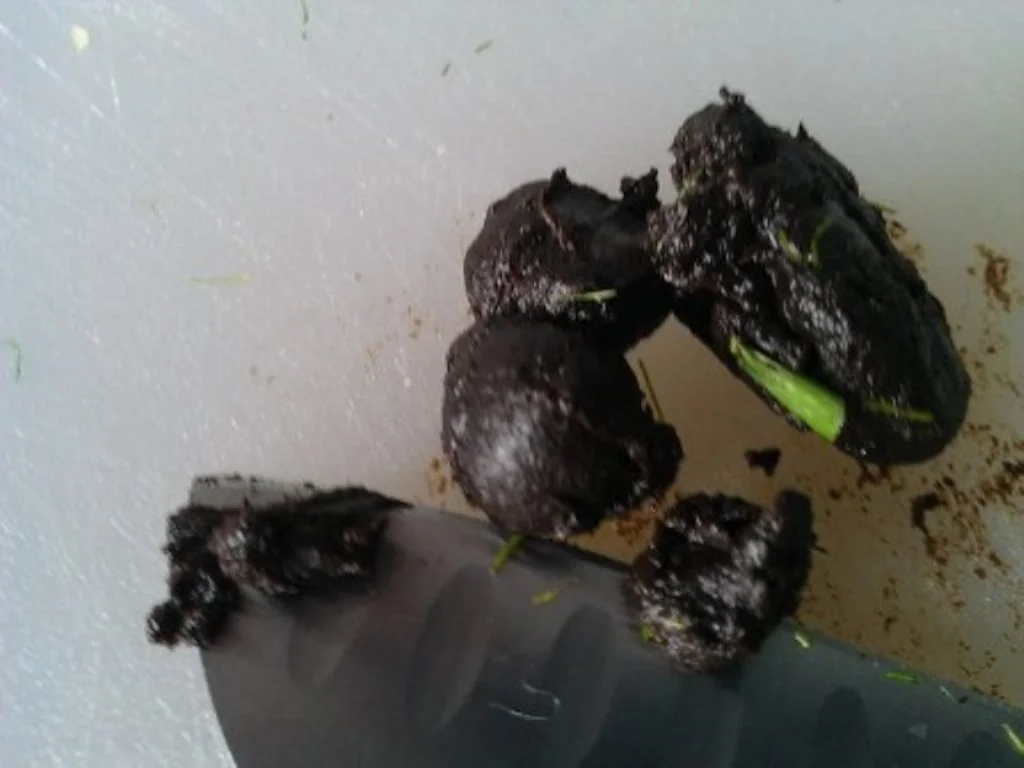 Lammlachs mit Beilage à la Biggi - Rezept - Bild Nr. 3301