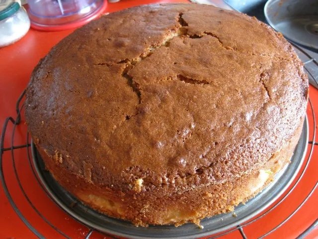 Rezept: Pflaumen Kuchen Bild Nr. 10 Pflaumen Kuchen - Rezept - Bild Nr. 10