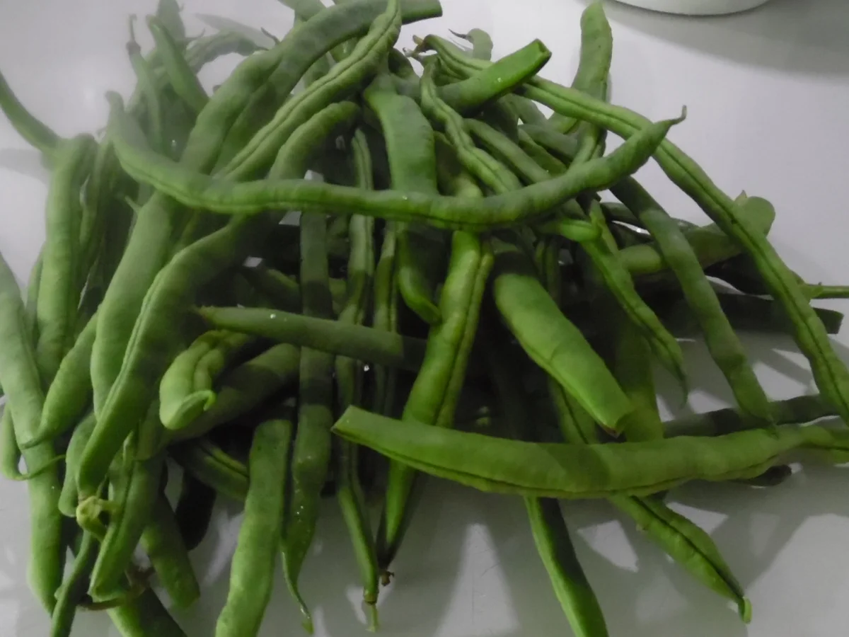 Lamm-Bohnen-G'röstl mit Schafskäse - Rezept - Bild Nr. 3357