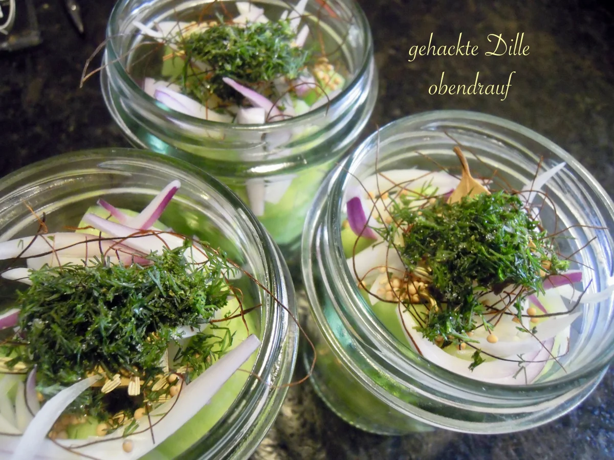 eingelegte Senfgurken - Rezept - Bild Nr. 3351