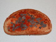 Erdbeer-Orangen-Schokoladen-Brot - Rezept - Bild Nr. 2