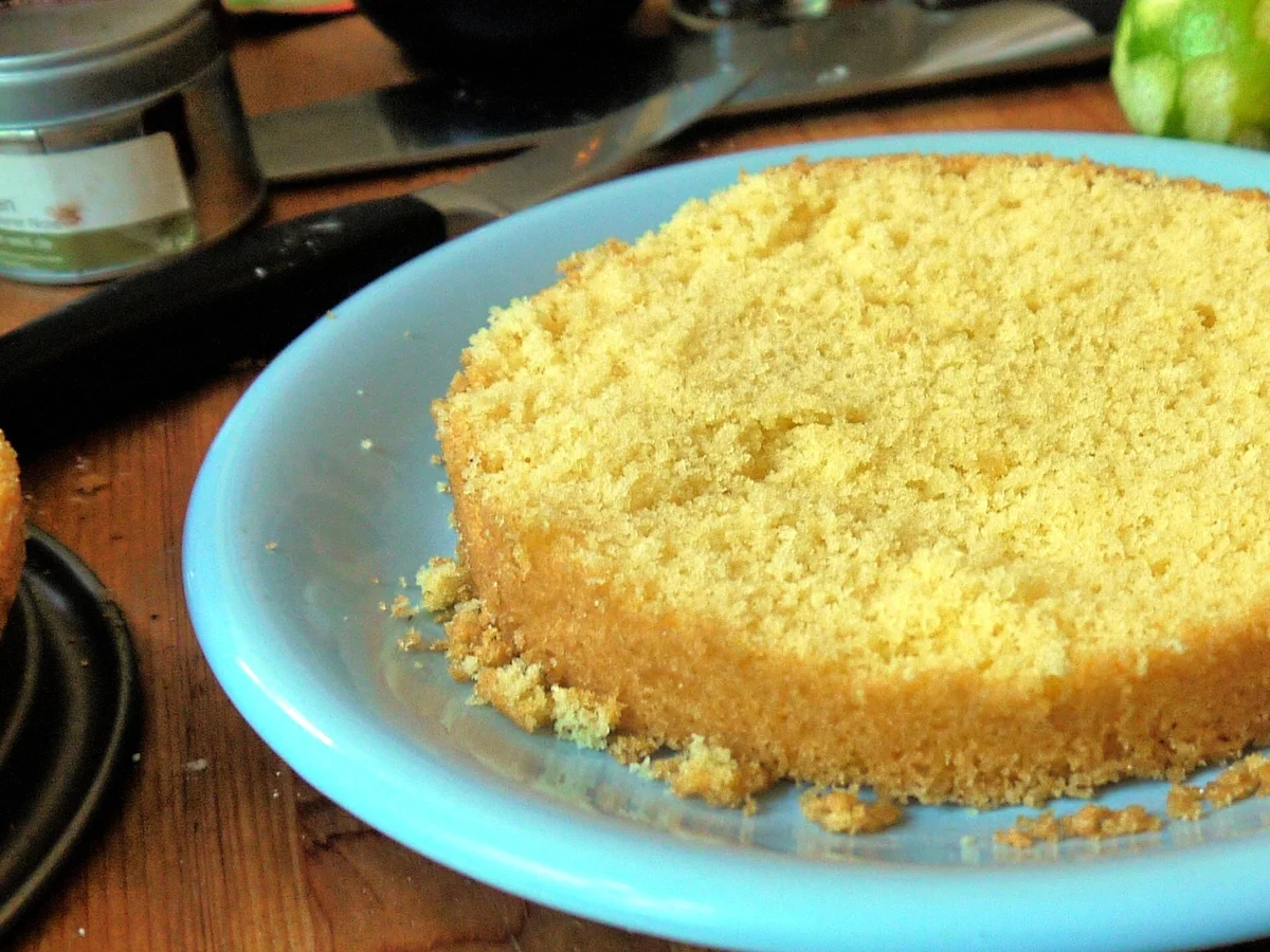 Naked Cantaloupe-Cake - Rezept - Bild Nr. 13