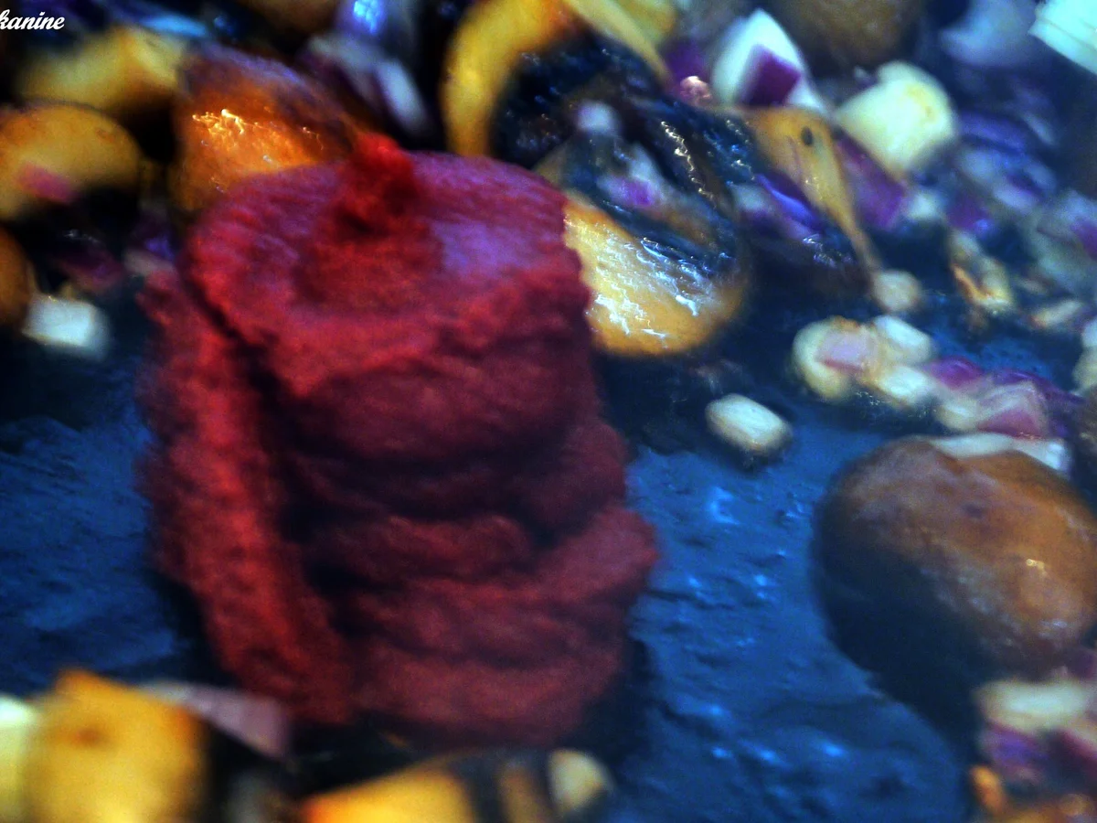 Spaghetti mit Champignons - Rezept - Bild Nr. 3373