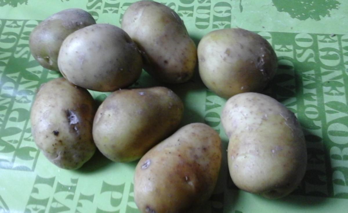 Schlemmer-Filet mit grünen Buschbohnen und pikanten Kartoffelstampf - Rezept - Bild Nr. 5