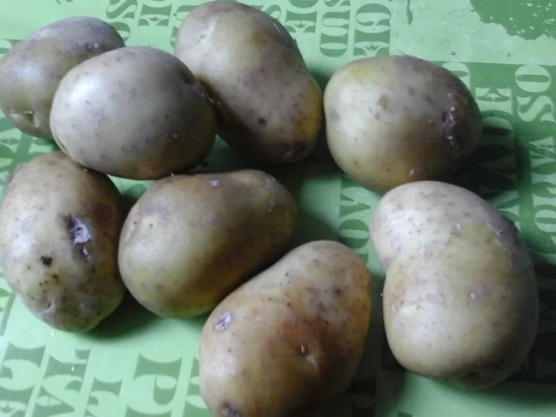 Schlemmer-Filet mit grünen Buschbohnen und pikanten Kartoffelstampf - Rezept - Bild Nr. 5