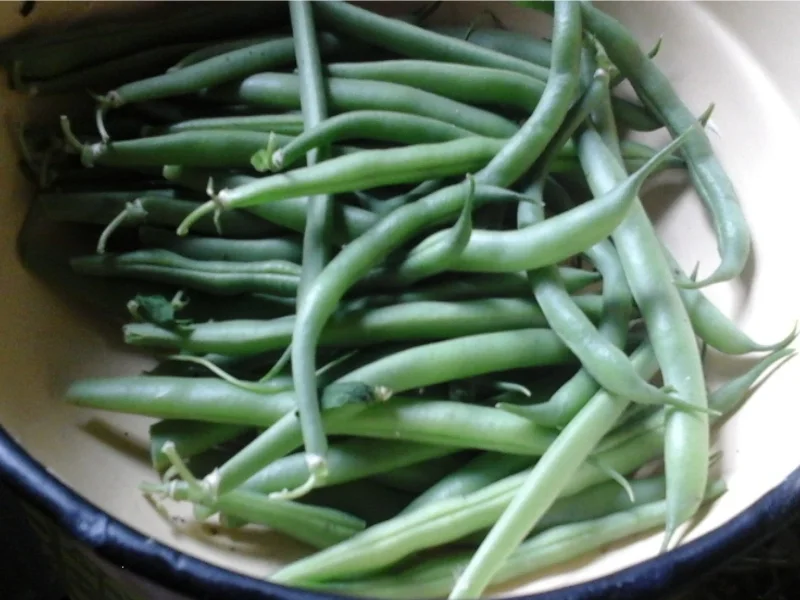 Schlemmer-Filet mit grünen Buschbohnen und pikanten Kartoffelstampf - Rezept - Bild Nr. 4