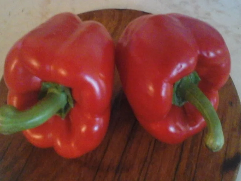 Hähnchenbrust-Gemüse-Curry mit Basmatireis - Rezept - Bild Nr. 3381