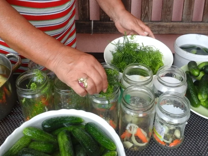 Eingelegte Gewürzgurken nach Drahuse - Rezept - Bild Nr. 3384
