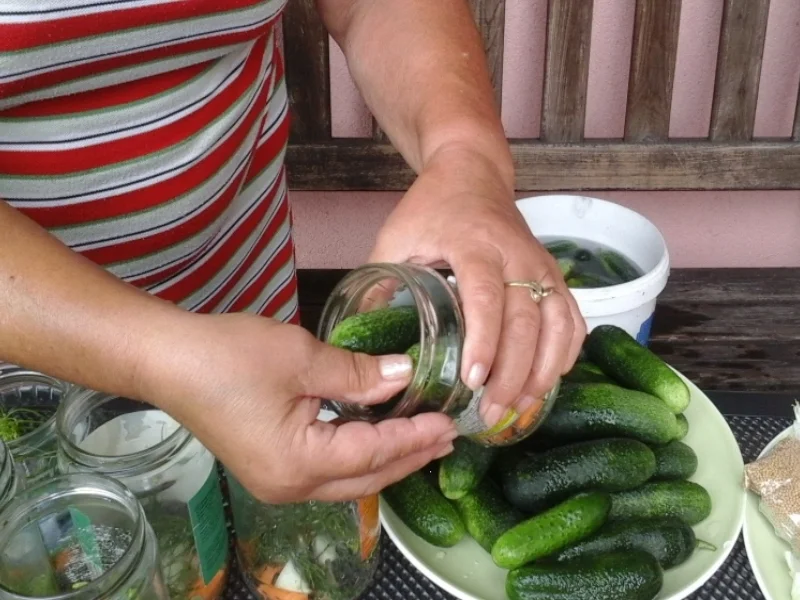 Eingelegte Gewürzgurken nach Drahuse - Rezept - Bild Nr. 3385