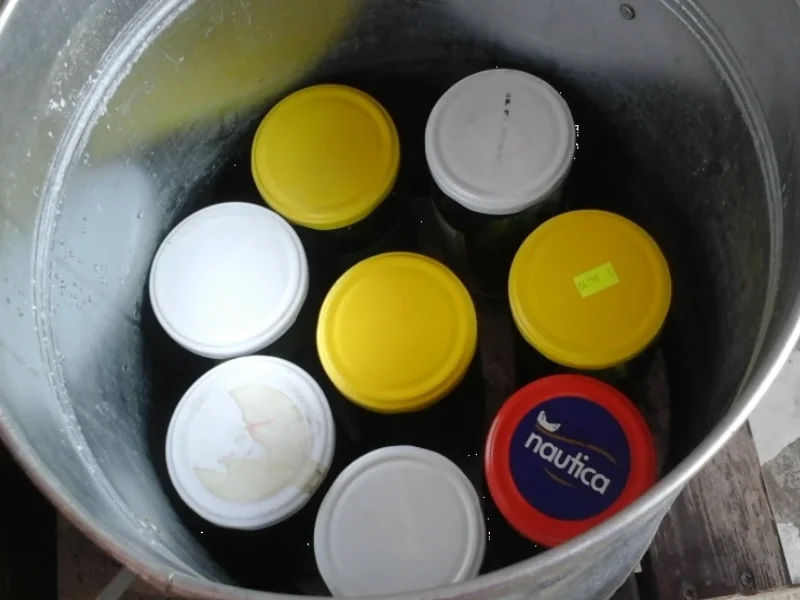 Eingelegte Gewürzgurken nach Drahuse - Rezept - Bild Nr. 3386