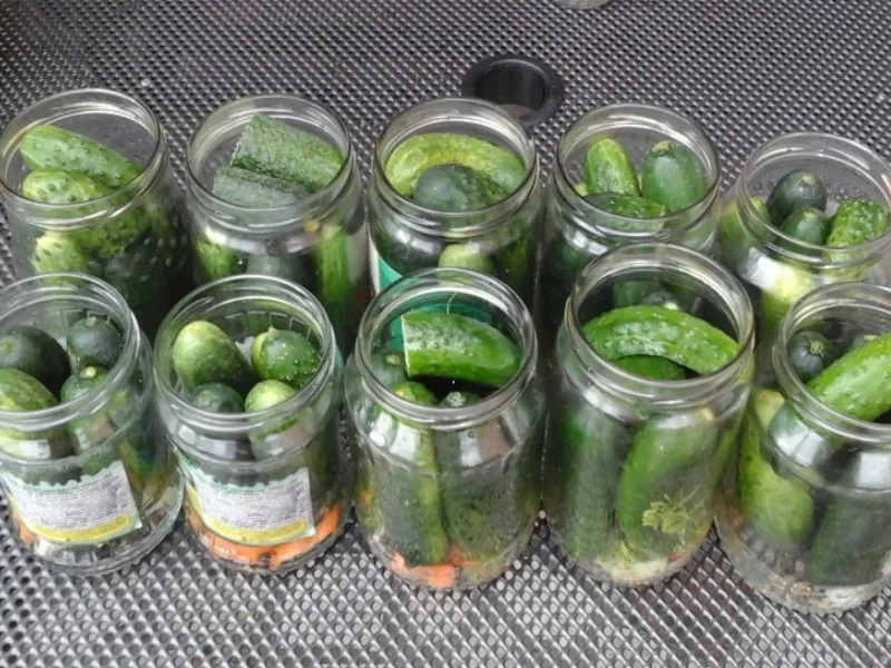 Eingelegte Gewürzgurken nach Drahuse - Rezept - Bild Nr. 3387