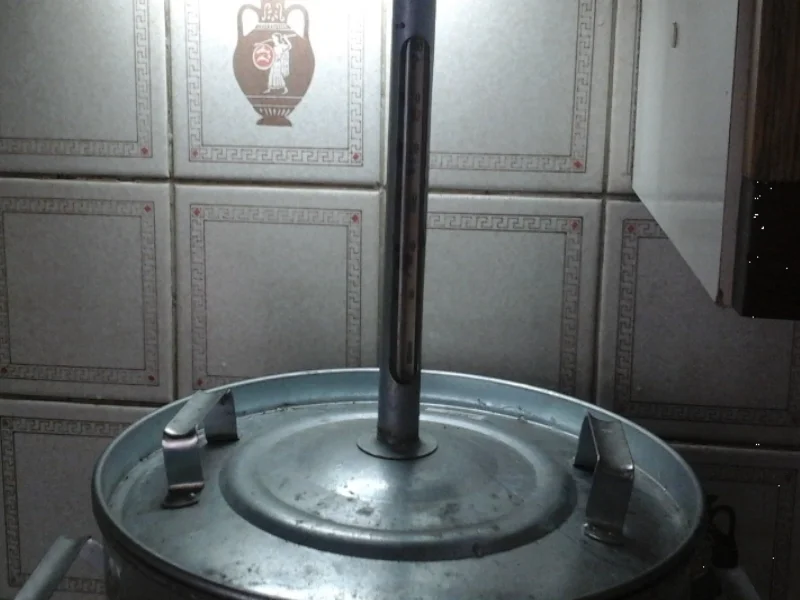 Eingelegte Gewürzgurken nach Drahuse - Rezept - Bild Nr. 3388