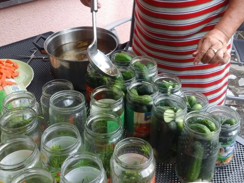 Eingelegte Gewürzgurken nach Drahuse - Rezept - Bild Nr. 3388