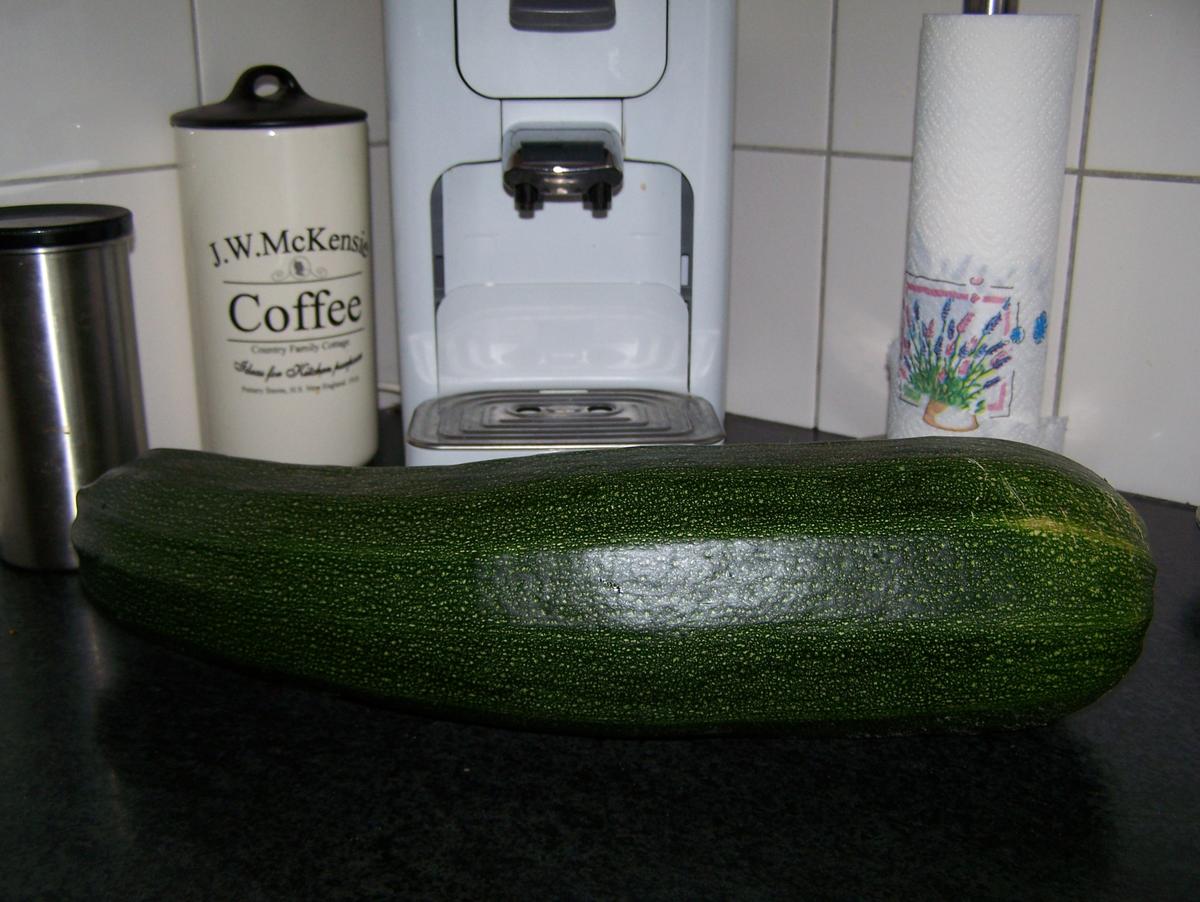 Ein Traum von einer Zucchini, gefüllt - Rezept - Bild Nr. 3378