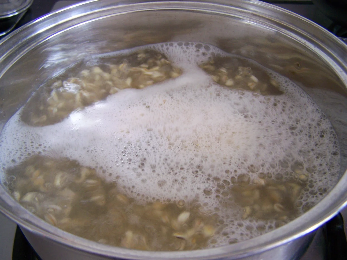 Ein Traum von einer Zucchini, gefüllt - Rezept - Bild Nr. 3387