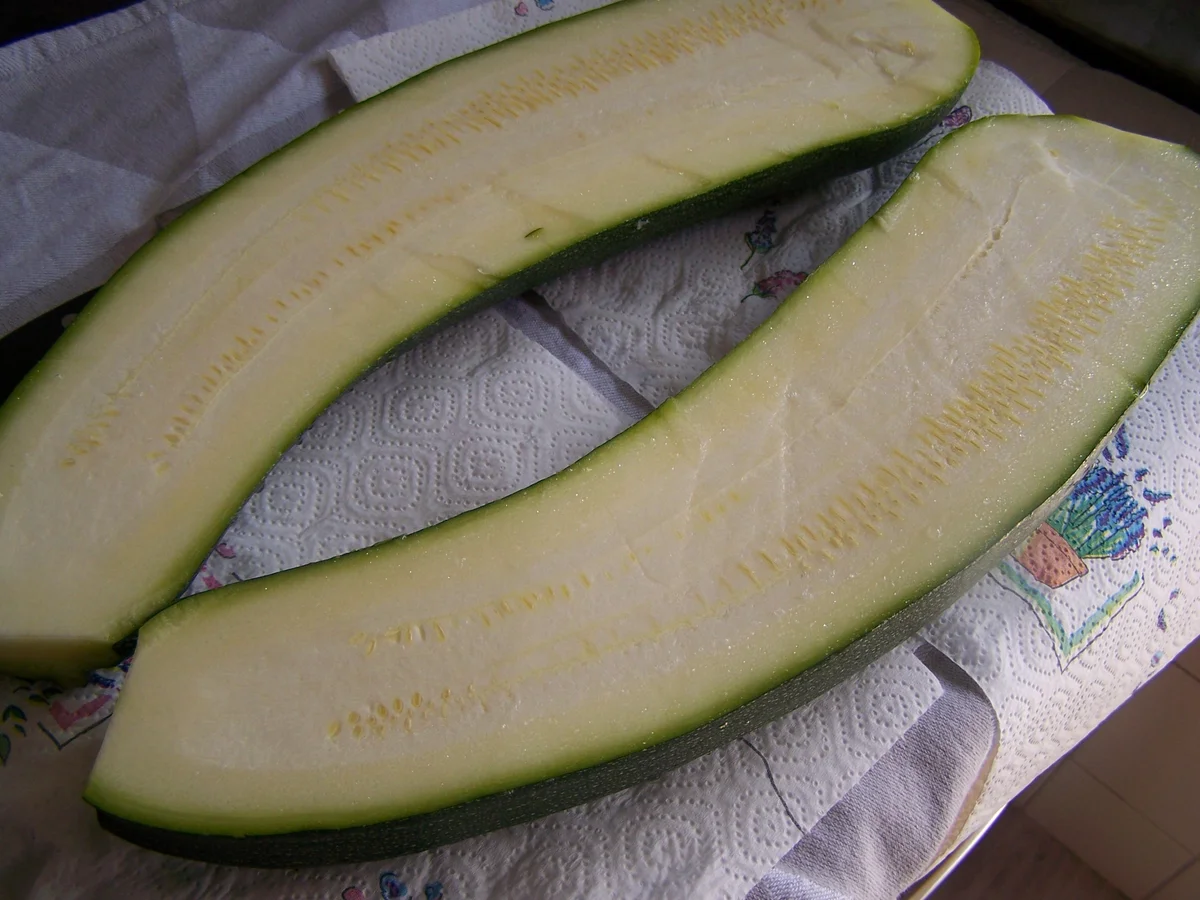 Ein Traum von einer Zucchini, gefüllt - Rezept - Bild Nr. 3390