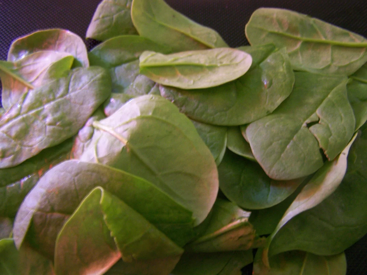 Ein Traum von einer Zucchini, gefüllt - Rezept - Bild Nr. 3379