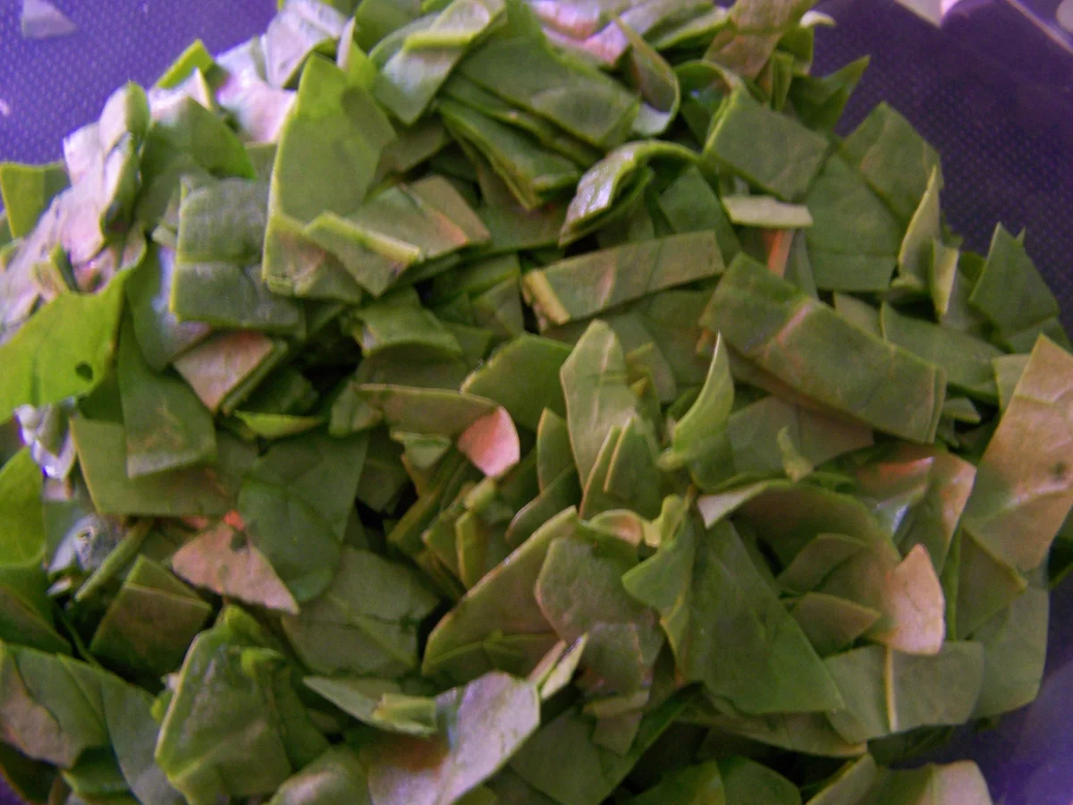 Ein Traum von einer Zucchini, gefüllt - Rezept - Bild Nr. 3380