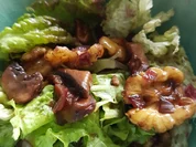 Lollo Rosso mit Walnuss und Champignons - Rezept - Bild Nr. 3379