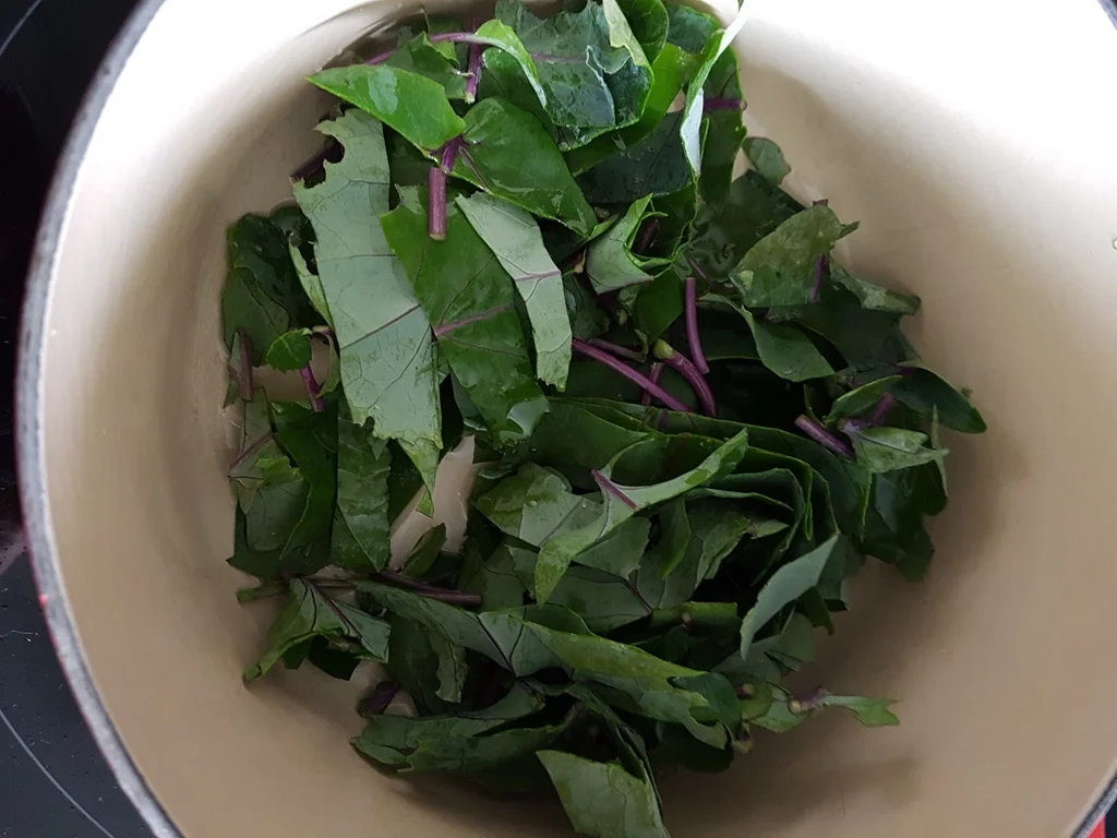 Feine Kohlrabisuppe à la Biggi - Rezept - Bild Nr. 3405