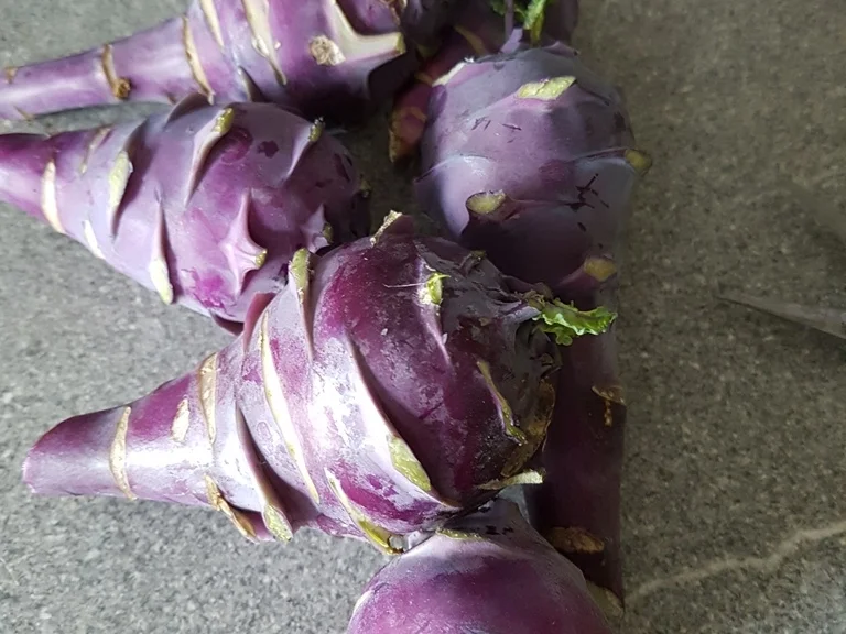 Feine Kohlrabisuppe à la Biggi - Rezept - Bild Nr. 3408
