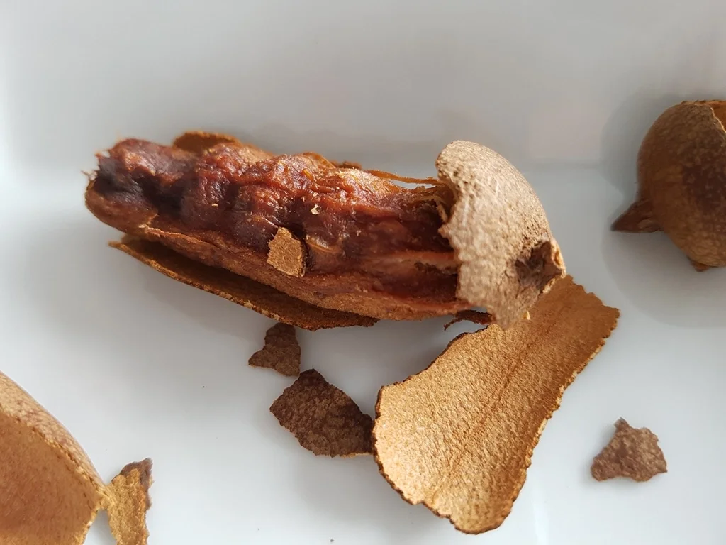 Feine Kohlrabisuppe à la Biggi - Rezept - Bild Nr. 3413