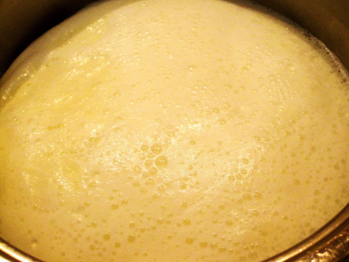 Kartoffelpüree - ein Grundrezept - Rezept - Bild Nr. 3414