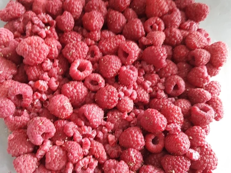 Himbeerkuchen - Rezept - Bild Nr. 3418