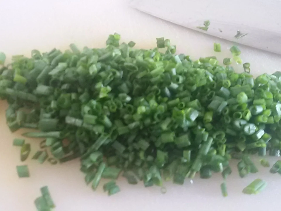 "Bock auf Eintopf" - Rezept - Bild Nr. 3440