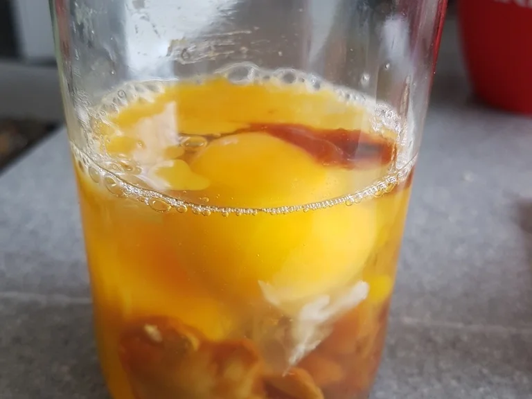 Eierspeisen = Lecker gefülltes Graubrot - Rezept - Bild Nr. 3458