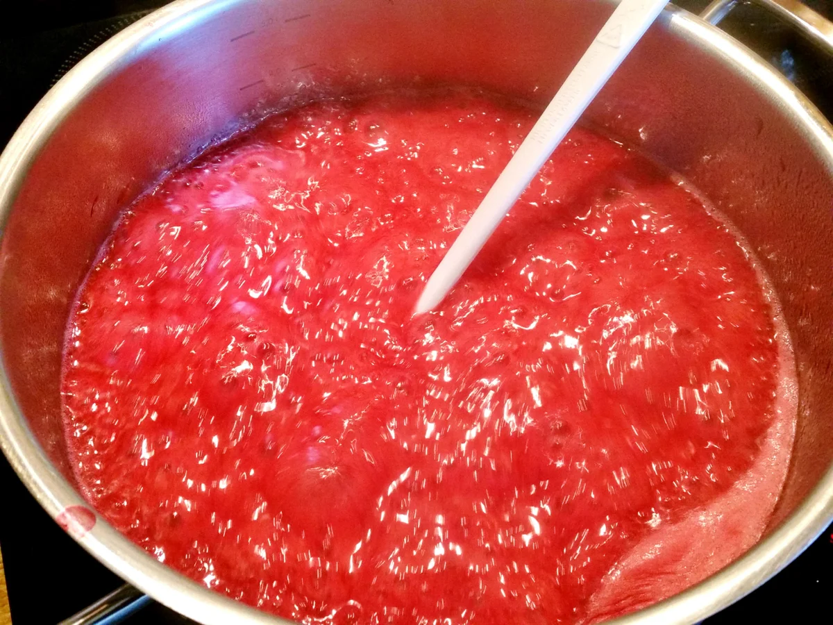 Johannisbeer-Gelee  "mit Volldampf" - Rezept - Bild Nr. 3463