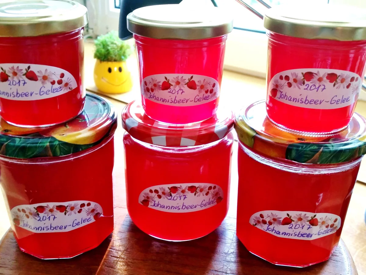 Johannisbeer-Gelee  "mit Volldampf" - Rezept - Bild Nr. 3466