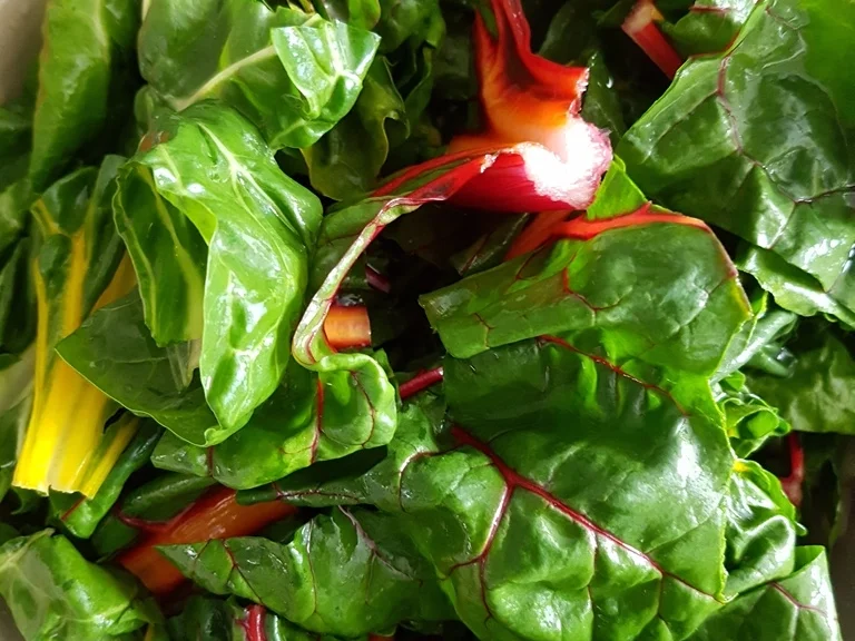 Rezept: Regenbogen Mangold Bild Nr. 3458 Regenbogen Mangold - Rezept - Bild Nr. 3458