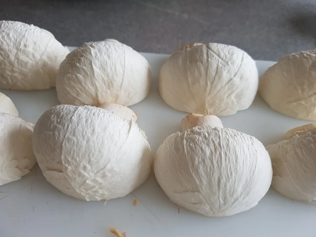 Riesen Champignons gebraten und als Chips - Rezept - Bild Nr. 3