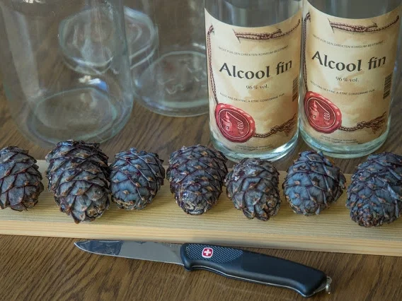 Zirbenschnaps - Rezept - Bild Nr. 2