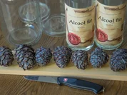 Zirbenschnaps - Rezept - Bild Nr. 2