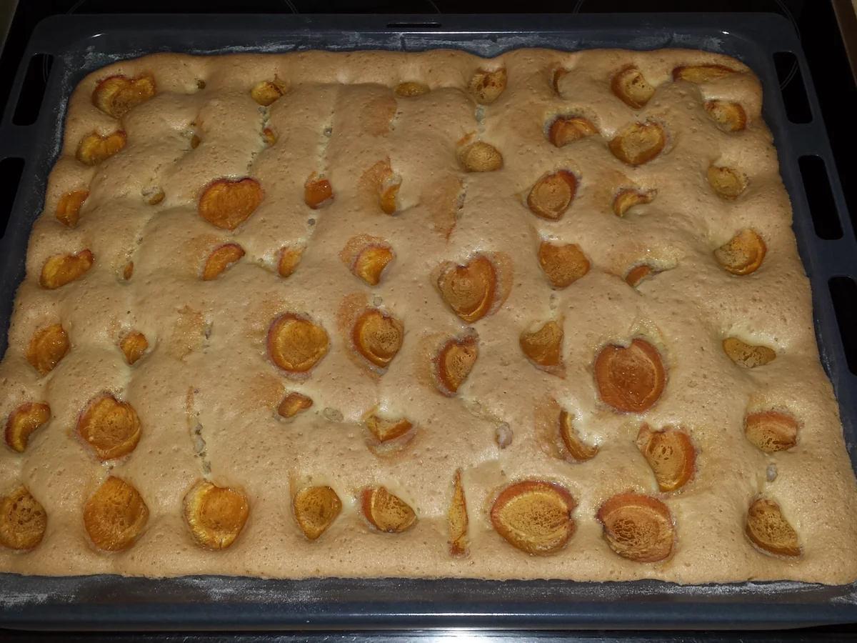 Marillen-Blechkuchen - Rezept - Bild Nr. 3474